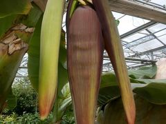 -万源龙顺度假庄园生态观光园