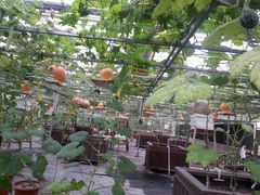 android_upload_pic-上海都市菜园