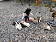 -同里湖大饭店-怡景轩中餐厅(同里古镇店)