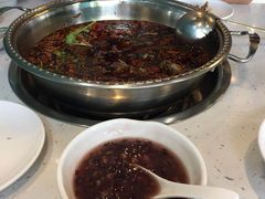-麻辣巅峰美蛙鱼头火锅(犀浦店)