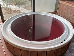 -春晖园度假酒店温泉