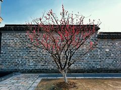 -老门东历史文化街区