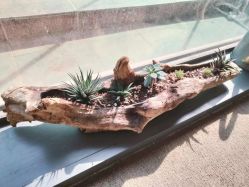 -AKIRA 安久日式美甲美睫