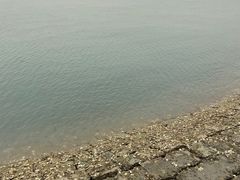 -唐岛湾公园