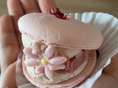 -好利来(鲁谷店)
