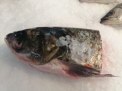 -物美大卖场(玉蜓桥店)