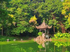 -深圳国际园林花卉博览园