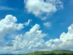 -盐洲岛
