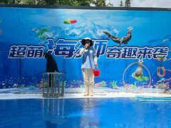 -日照海滨国家森林公园