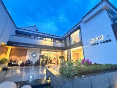 -枣子树·素食餐厅(普陀山店)