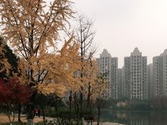 -南湖梦幻岛