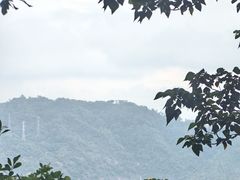 -小南山公园