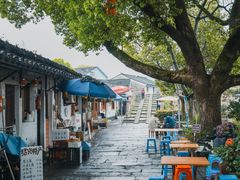 -绍兴鲁迅故里·沈园景区