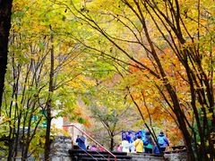 -丹东天桥沟景区