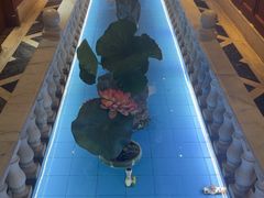 -金指缘足浴(望园路旗舰店)