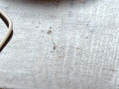 -猪脑壳凉面(武陵源店)