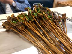 -晓靖轩烧烤(沙河风情店)