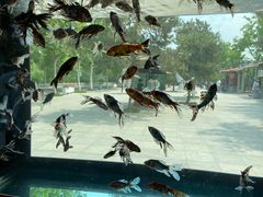 -石家庄市动物园