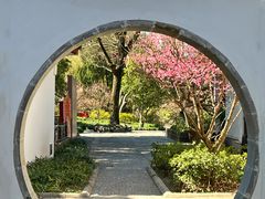 -上海醉白池公园