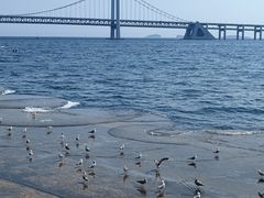 -星海广场