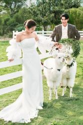 点击看大图 -太古映画婚纱摄影(天河店)