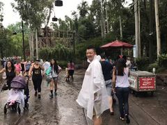 -奥兰多迪士尼动物王国乐园