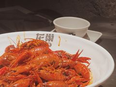 十三香小龙虾-龙巢盱眙龙虾·牛蛙·烧烤宵夜(八卦岭店)