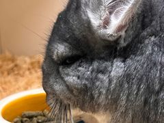 -龙猫仔乐园(惠福东路店)