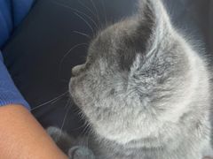 -宠福鑫康馨动物医院·骨科·眼科