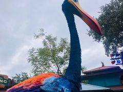 -奥兰多迪士尼动物王国乐园