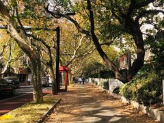 -一尺花园(安和花园店)