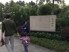 -晓港公园