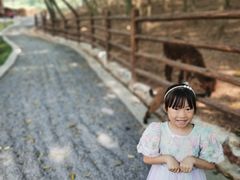 -三岔湖环球融创天堂洲际酒店水乐园