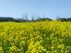 -良渚古城遗址公园
