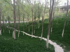 -小绿谷公园