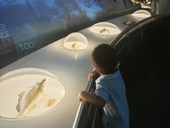 -陕西自然博物馆