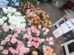 -循礼门鲜花花市(武汉循礼门店)