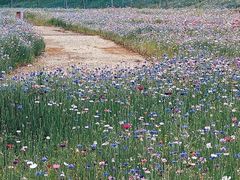 -仙海旅游度假区