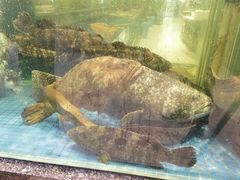 -聚福宝合苑食府(南头镇店)