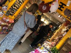 -猫咪博物馆(顶澳仔猫街店)