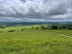 -塞罕坝国家级自然保护区