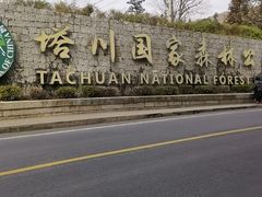 -塔川景区