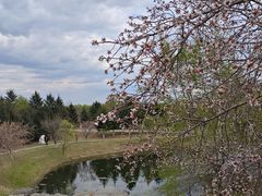 -长春世界雕塑园冰雪艺术天地