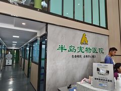 -半岛宠物医院24小时(科华中路店)