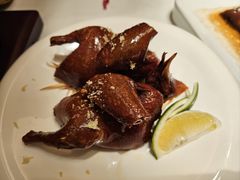 -觅唐MITONG(鸟巢店)