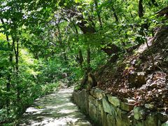 -北京上方山国家森林公园