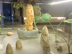 -大逸传奇·足道SPA(天美店)