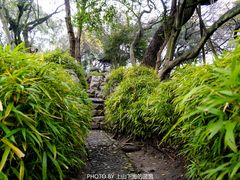 -绮园景区