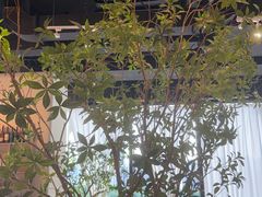 -Pekaa啤咖食肆Coffee&Bistro