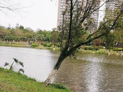 -飞来湖湿地公园